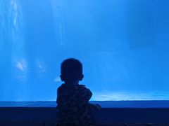 -多彩贵州城极地海洋世界