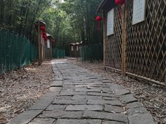 -同里国家湿地公园