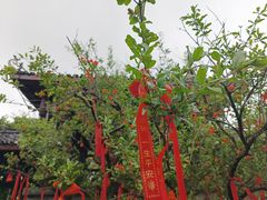 -濮园 · 四合院餐厅