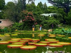 -国家植物园南园