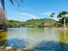 -深圳仙湖植物园
