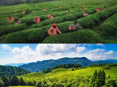 -重庆武隆天生三桥风景区-神鹰天坑