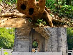 -上海佘山国家森林公园天马山园