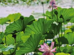 -承德避暑山庄景区