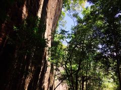 -武夷山风景名胜区-虎啸岩
