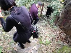-陶然居·重庆菜(生态园店)