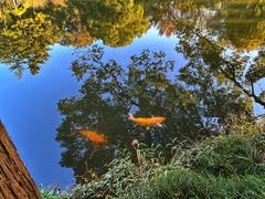 -杭州植物园