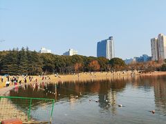 -黄兴公园