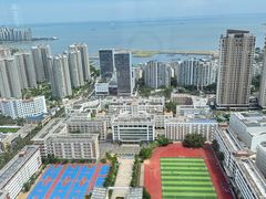 -万绿园