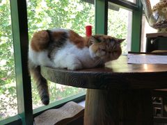 -后院儿·精酿·塔罗Happy Bar