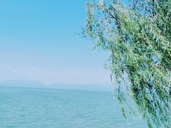 -呈贡滇池生态湿地公园