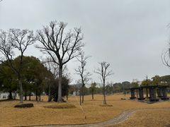 -同济大学(嘉定校区)