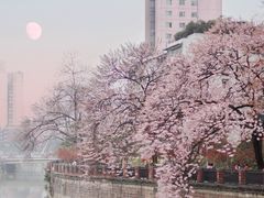 -红星桥(地铁站)