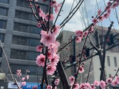 -汉庭(杭州灵隐寺龙井路店)