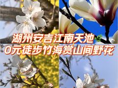 -江南天池