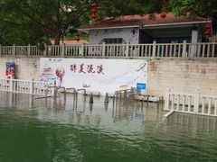 -广州市流溪河国家森林公园