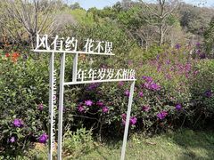 -云溪植物园