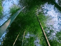 -黄公望隐居地