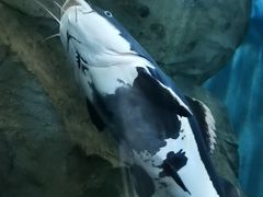 -苏州海洋馆