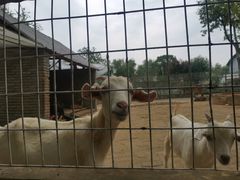 -武汉紫薇都市田园