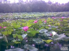 -南戴河国际娱乐中心