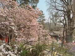 -潭柘寺景区