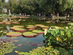 -国家植物园南园