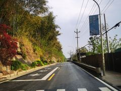 -铁山坪森林公园