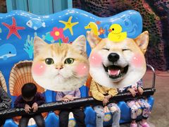 -青岛嘉年华主题乐园