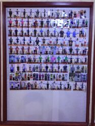 -维纳斯专业减肥