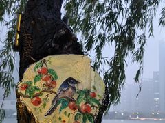 -天鹅湖体育公园