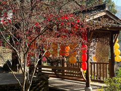 -塔川景区