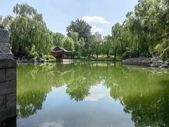 -万柳阁小馆·花园餐厅(龙潭湖店)
