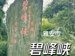 -碧峰峡风景区