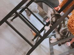 -咖法森林·咖啡  酒吧(天河店)