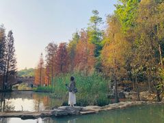 -云溪植物园