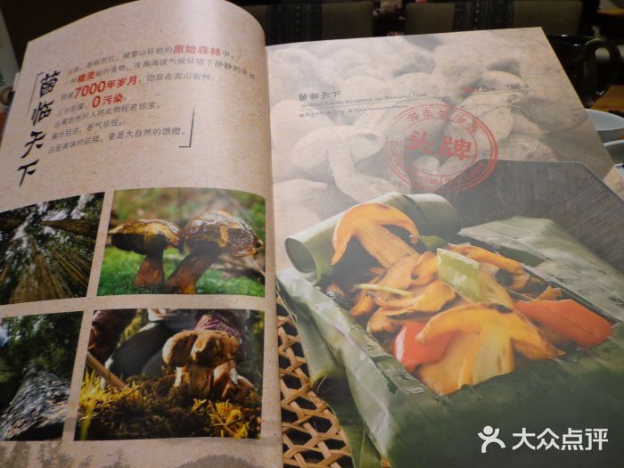 云海肴·汽锅鸡·云南菜(天津国金汇店)图片