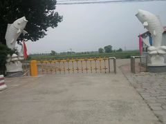 -白渔泡湿地公园