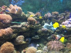 -多彩贵州城极地海洋世界