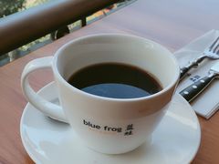 -bluefrog蓝蛙(皇庭广场店)