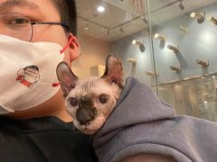 -BABIT巴比特宠物(MOMOPARK店)