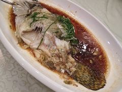 -福鼎轩海鲜大酒楼(皇轩酒店)