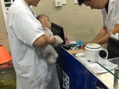 -申普宠物医院·眼科·心内科·影像科(普陀分院)