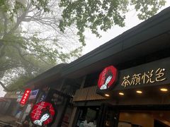 -茶颜悦色(岳麓山顶店)