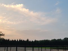 -汉长安城未央宫国家考古遗址公园