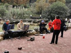 -铁山坪森林公园