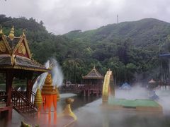 -西双版纳原始森林公园
