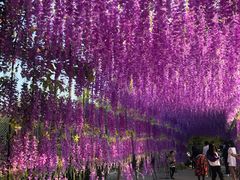-观澜湖生态运动公社