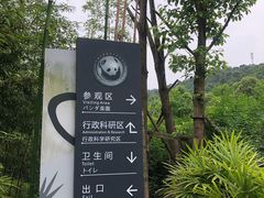 -都江堰中华大熊猫苑