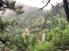 -庐山风景区花径公园